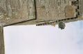 86_R001-020.JPG