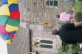 86_R001-060.JPG
