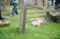 86_R001-065.JPG