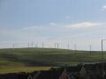 celtic_3_103_0382.JPG