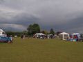 P6110158_800x600.jpg