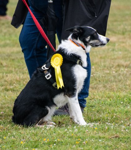 dsc_8108.jpg
